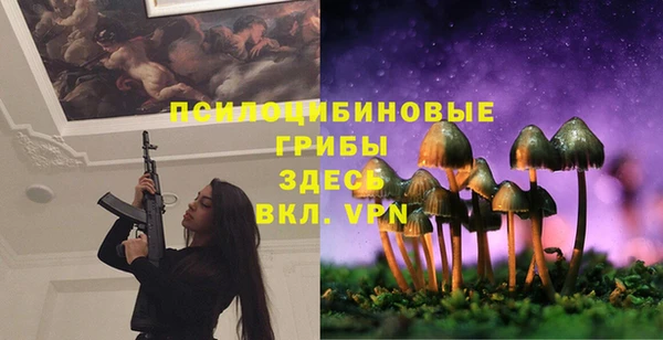 гашиш Осинники